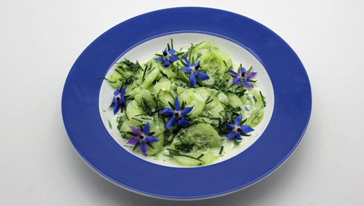 Rezept aus der Kräuterküche: Gurkensalat mit Borretsch