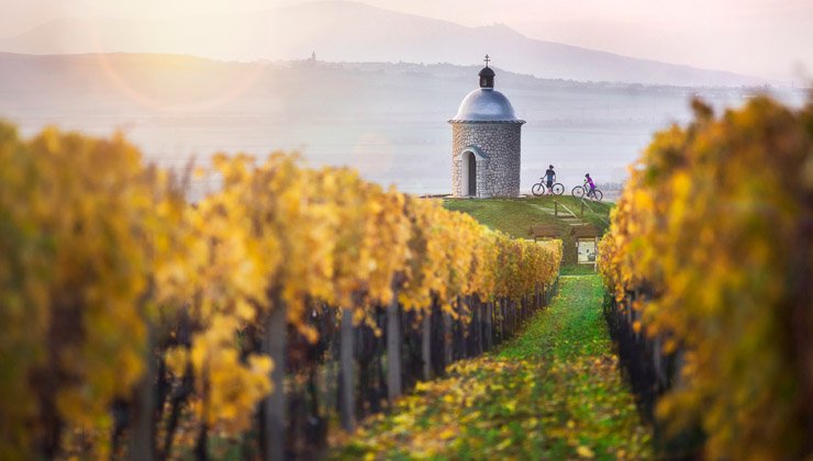 Südmähren – Liebliche Landschaft, Wein und tschechische Tapas