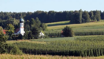 Hopfenzupfermahl – Biermenü zum Beginn der Hopfenernte