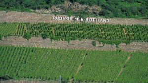 Die beste deutsche Spätlese kommt aus dem Rheingau