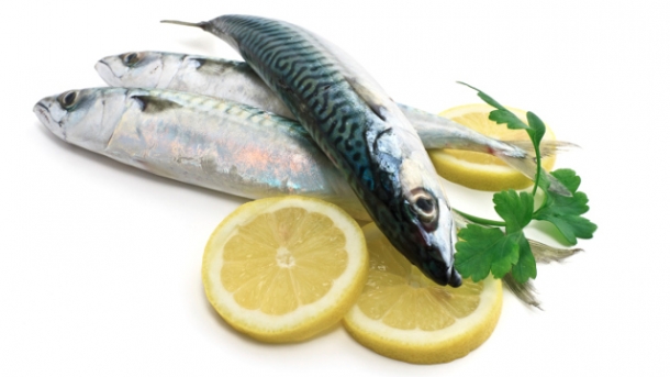 Frische Fische – Wichtige Fakten rund um Speisefische