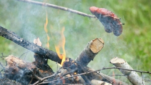 Grillen mit Holz – Birke oder Buche