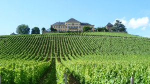 Das älteste Riesling-Weingut der Welt – Zu Gast auf Schloss Johannisberg