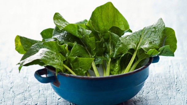 Hochsaison für Spinat: So bleibt das Gemüse frisch