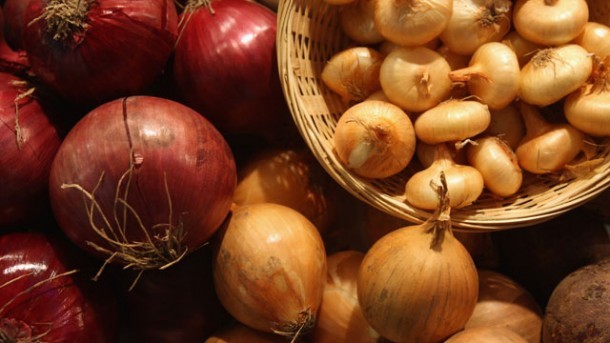 Gesunde Wirkung: Zwiebel ist Heilpflanze des Jahres