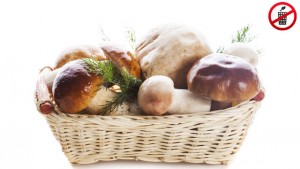 Start der Pilzsaison: Haltbar machen durch Einfrieren und Trocknen