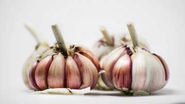 Richtige Ernährung bei Blasenentzündung