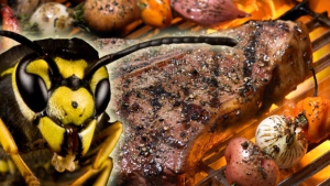 Entspanntes Grillen - Was hilft gegen Wespen?