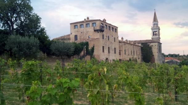 Masciarelli – Wein als Produkt der Landschaft