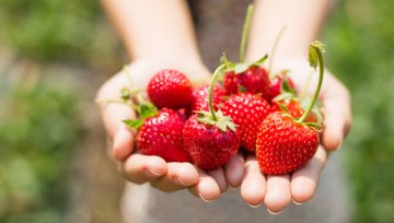 Erdbeeren aus dem Ofen