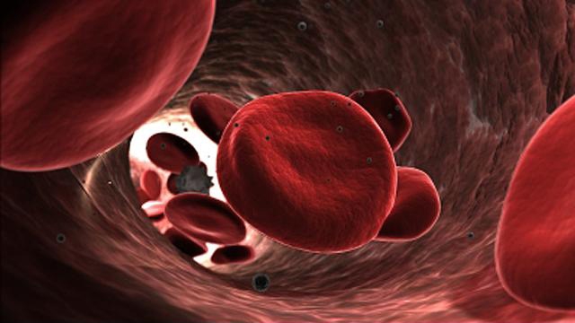 istockpohoto.com/ChristianAnthony