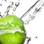 shutterstock.com/Danylchenko Iaroslav