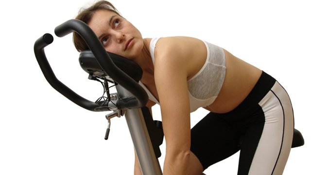 shutterstock.com/Martin Novak