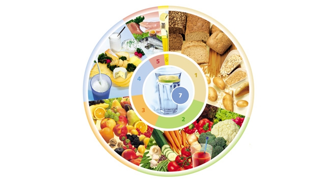 DGE-Ernährungskreis®, Copyright: Deutsche Gesellschaft für Ernährung e. V., Bonn