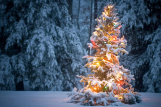 wof weihnachtsumfrage