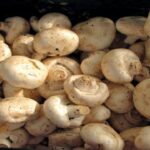 Rainer Sturm/Thommy Weiss/pixelio.de