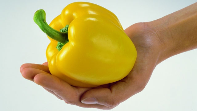 5 am Tag / www.machmit-5amtag.de