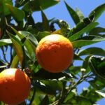 Rainer Sturm/pixelio.de