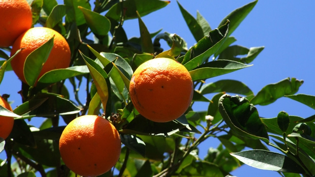 Rainer Sturm/pixelio.de