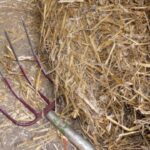 Dieter Schütz/pixelio.de