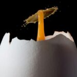 pixelio.de/Tobias Bräuning