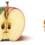 Screenshot www.zugutfuerdietonne.de