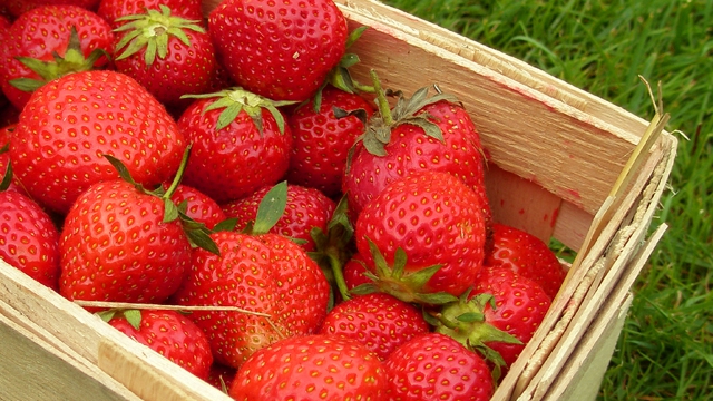 pixelio.de/ Peter Smola