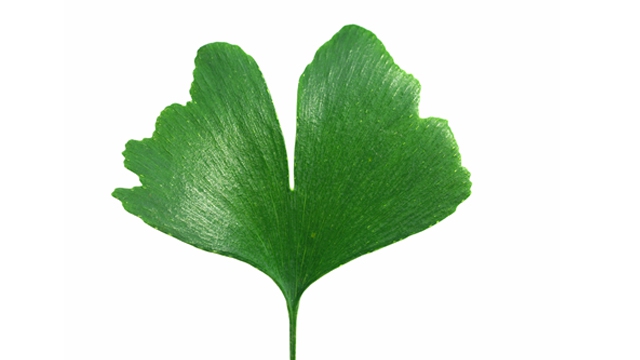 pixelio.de/Grace Winter