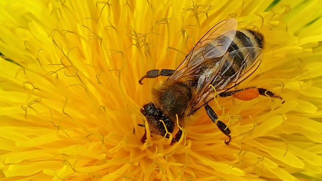 pixelio.de/Rosel Eckstein