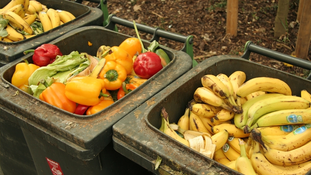 pixelio.de/Schnappschuss