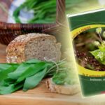 Bild: thinkstock.com; Cover: Hädecke-Verlag