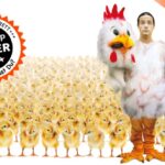 Inka Meyer/ www.designee.de