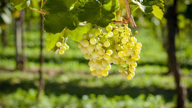 thinkstockphotos.com