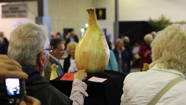 alle Bilder: gettyimages