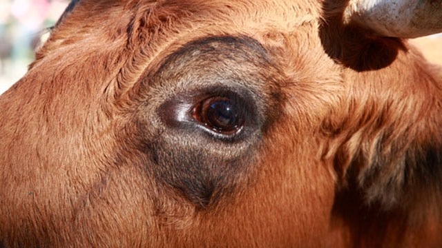 Inka Meyer/ www.designee.de