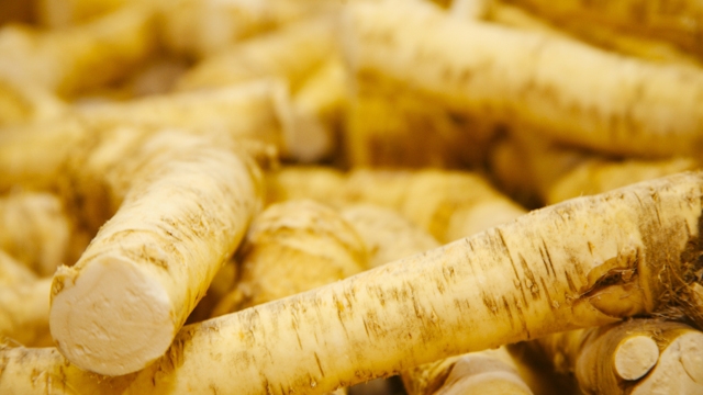 Steiermark Tourismus