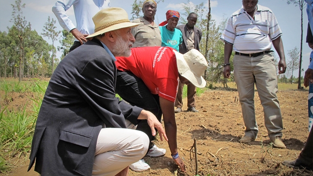 © Pandastorm Pictures