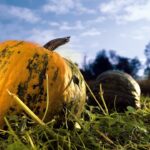 Steiermark Tourismus