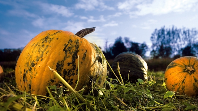 Steiermark Tourismus