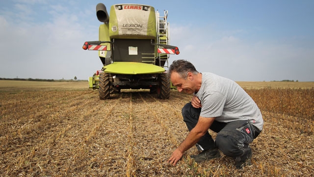 Daniel Roland/Getty Images