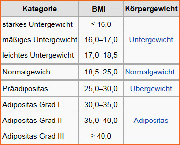 BMI Rechner Klassifikation