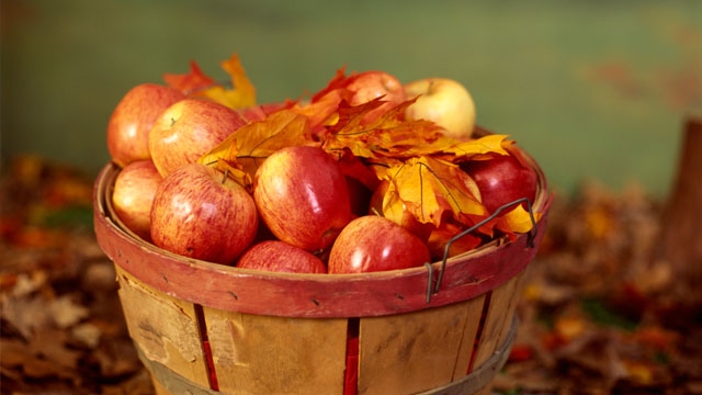 alle Bilder: thinkstockphotos.com