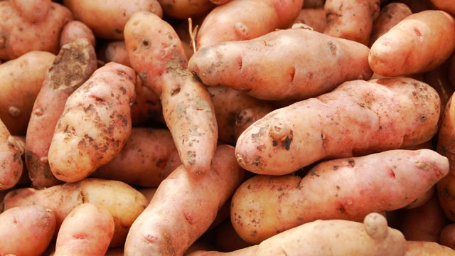 Wolfgang Dirscherl - pixelio.de