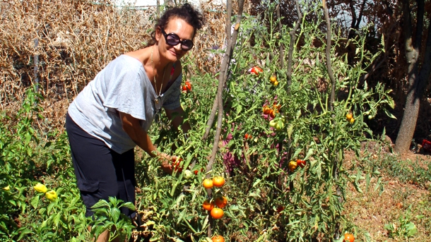 Graciela Cucchiara bei der Tomatenernte in Italien