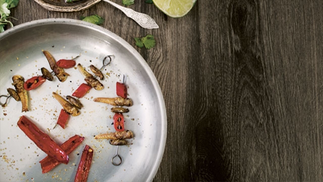 Nadine Kuhlenkamp / Kosmos Verlag