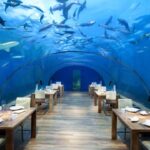 Conrad Hotels & Resorts; Das erste Unterwasser-Restaurant der Welt: Das "Ithaa" auf den Malediven