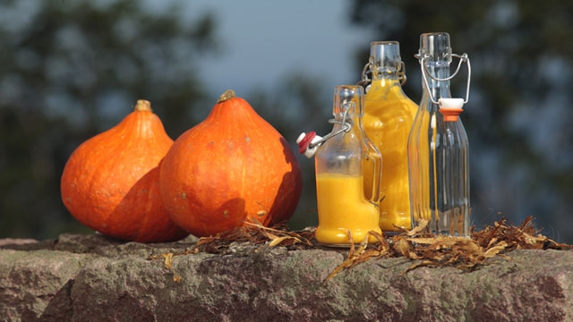 beide Bilder: www.rooibosforlife.de