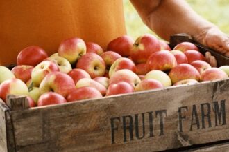 thinkstockphotos.com