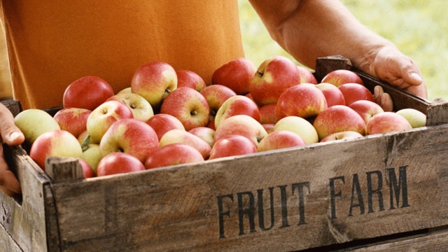 thinkstockphotos.com