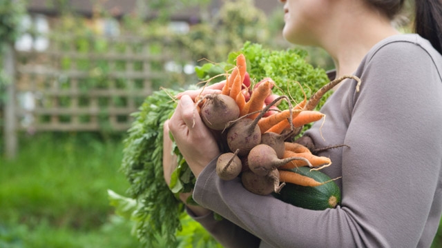 thinkstockphotos.com